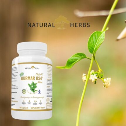 Alto Pharma Gurmar GS4 75% Gymnemic Acids – Appetite & Sugar Control, 90 Capsules