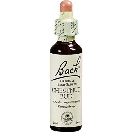 Nelsons Bachblüte Chestnut Bud 20ml
